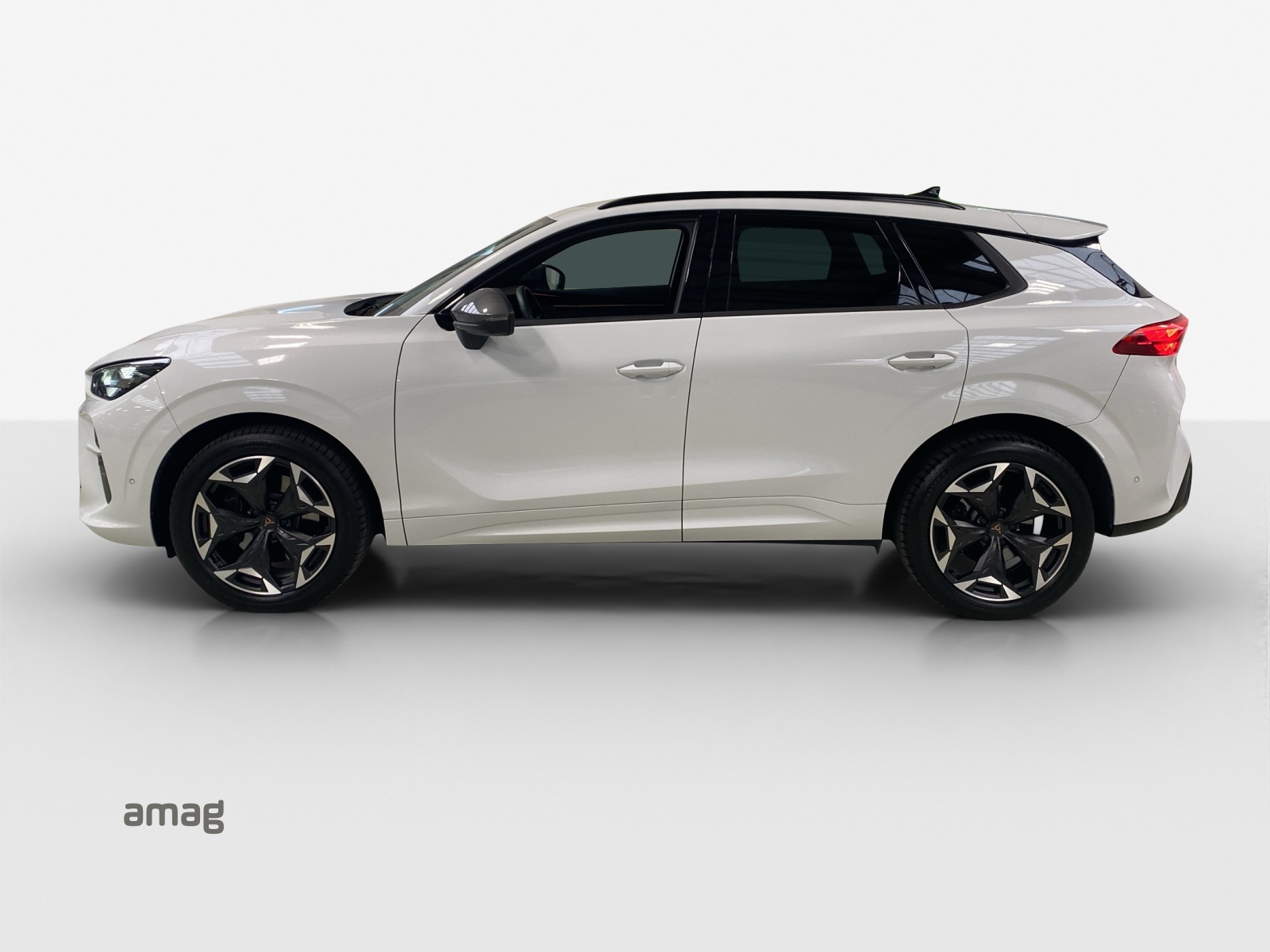 Cupra Terramar - Immagine in arrivo... 1