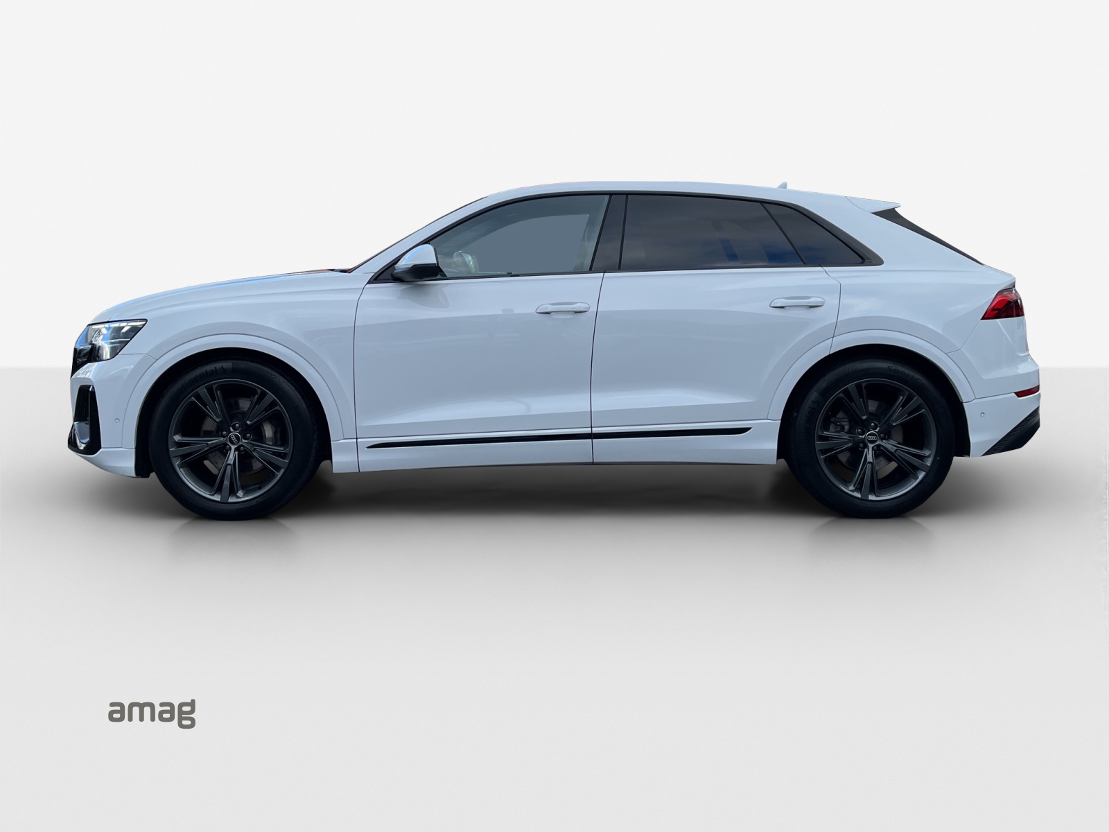Audi Q8 - Bild folgt... 1