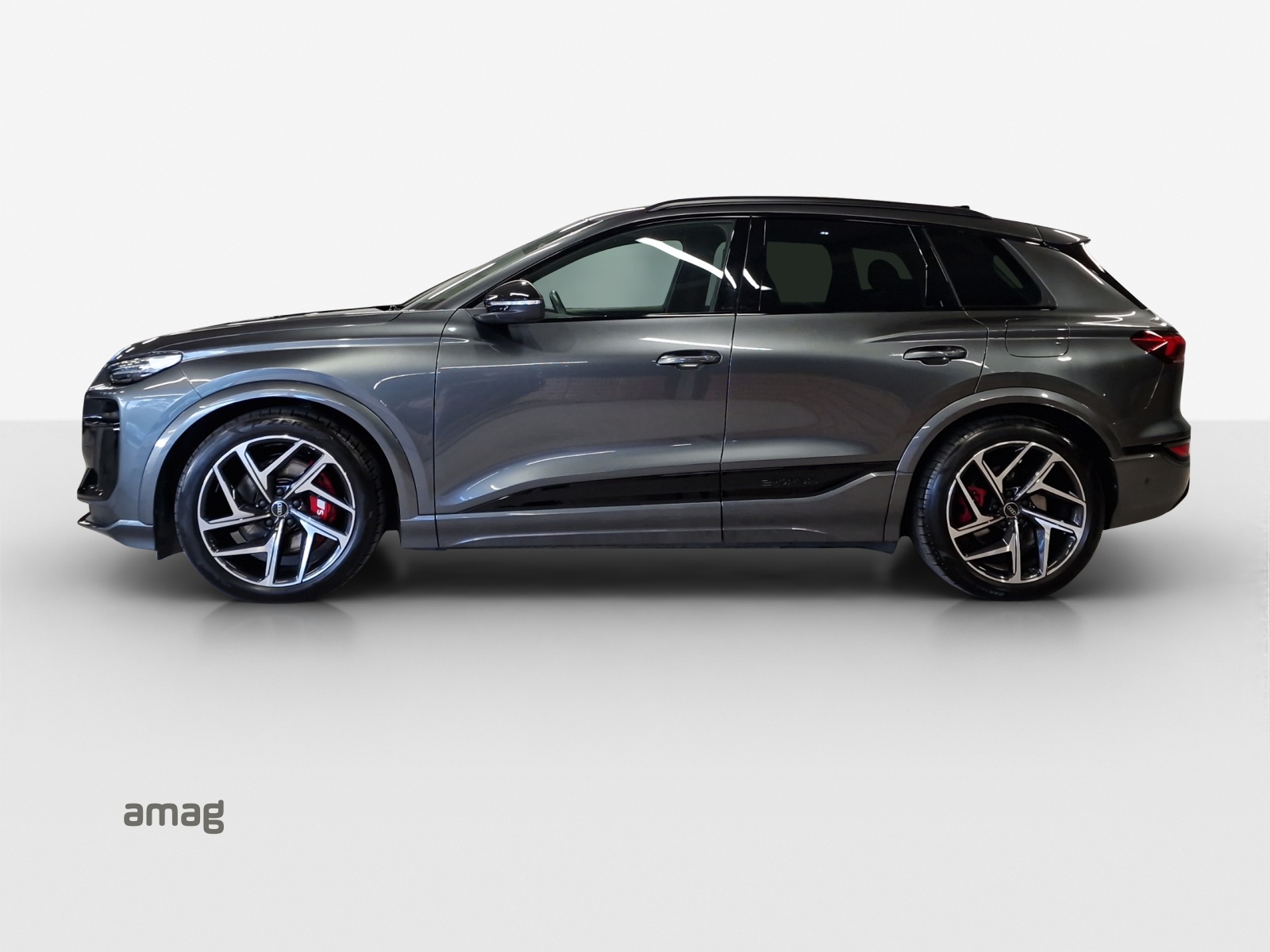 Audi SQ6 - Bild folgt... 1