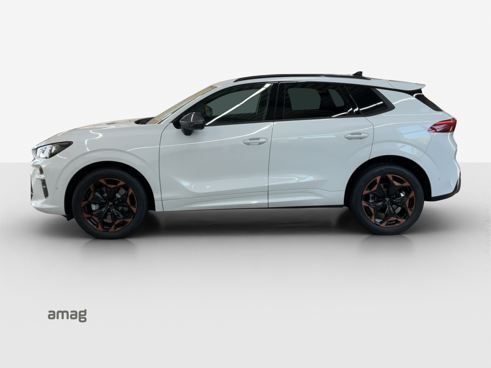 Cupra Terramar - Bild folgt... 1
