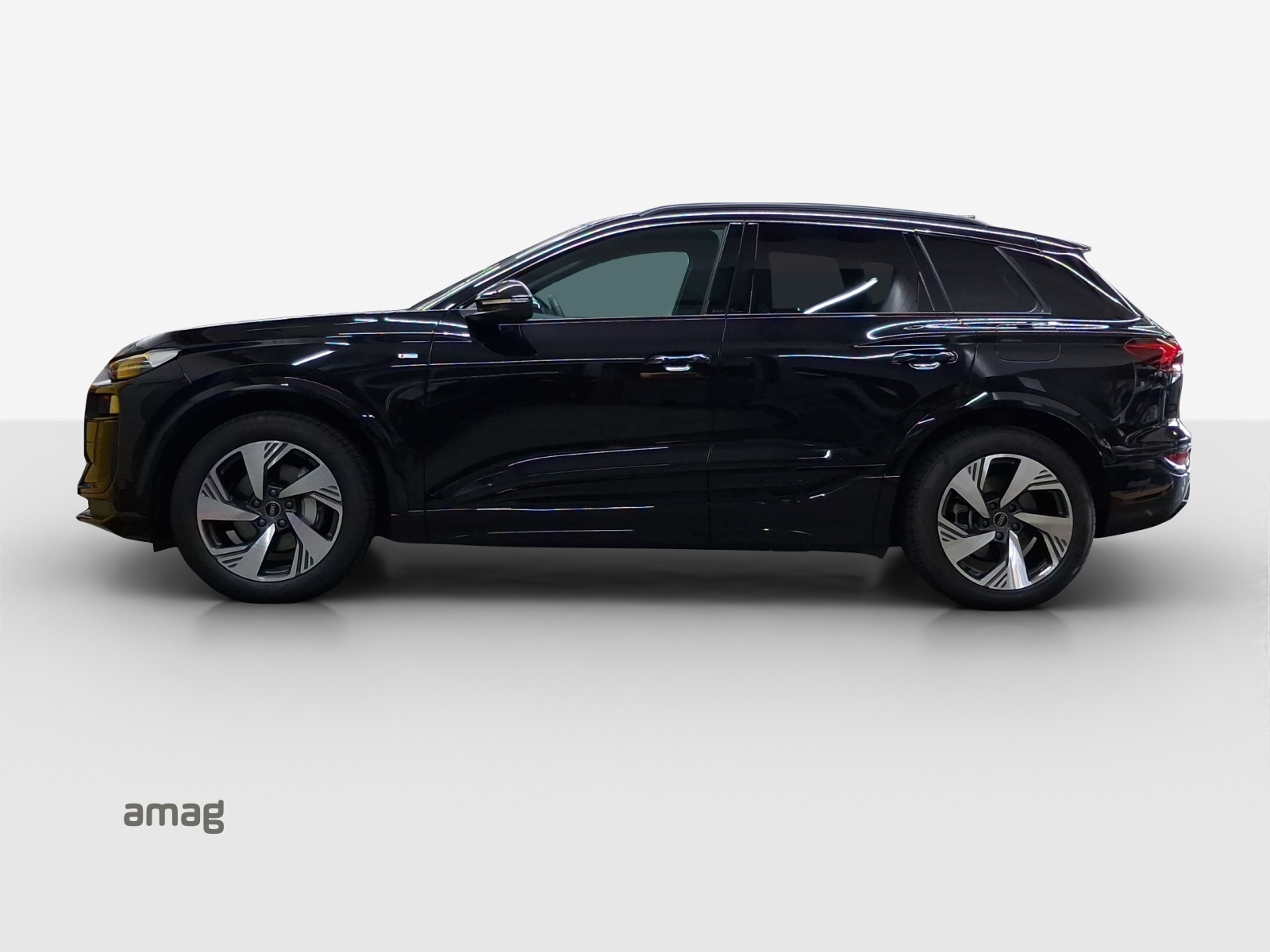 Audi Q6 - Bild folgt... 1