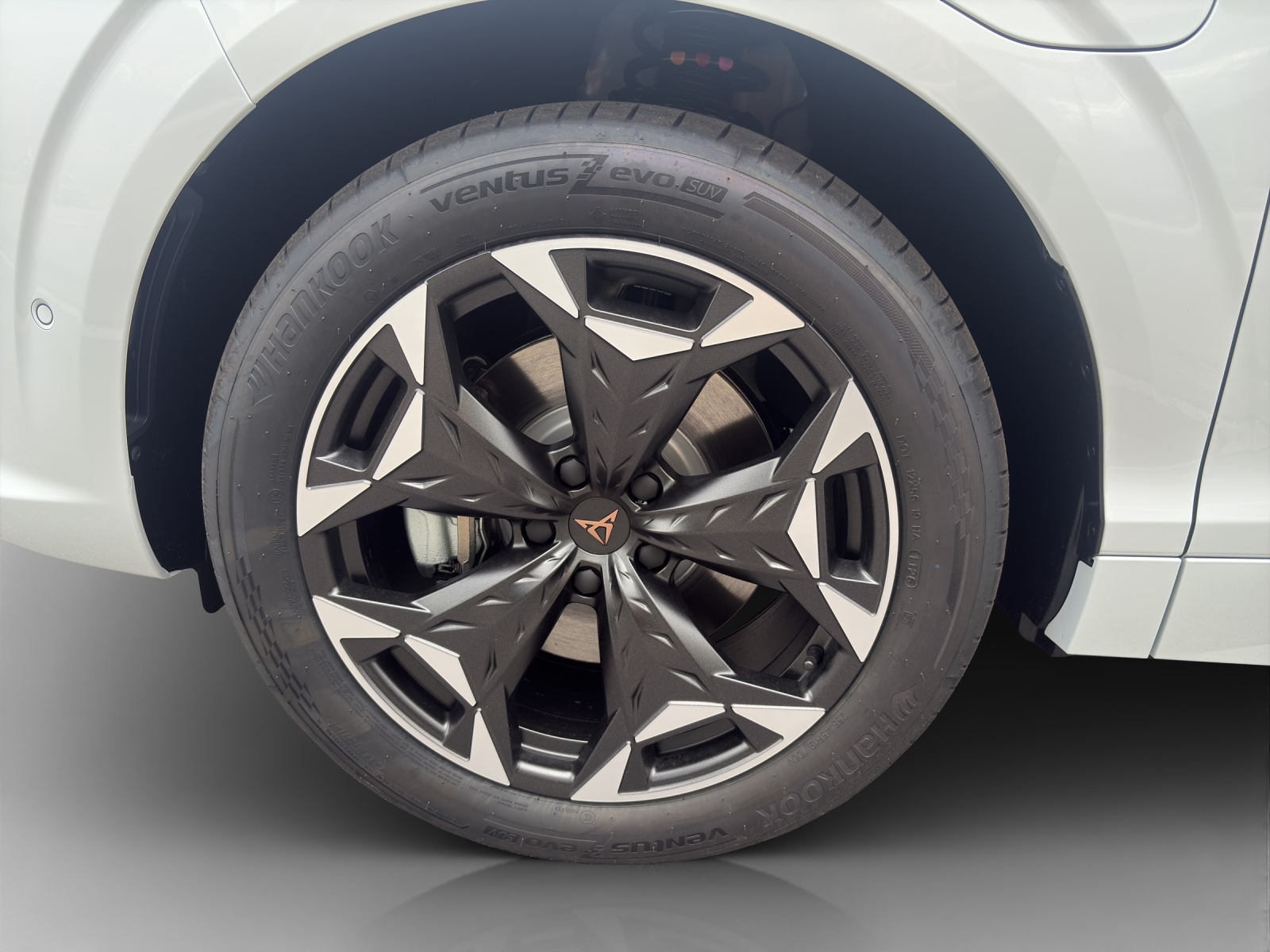 Cupra Terramar - Bild folgt... 1