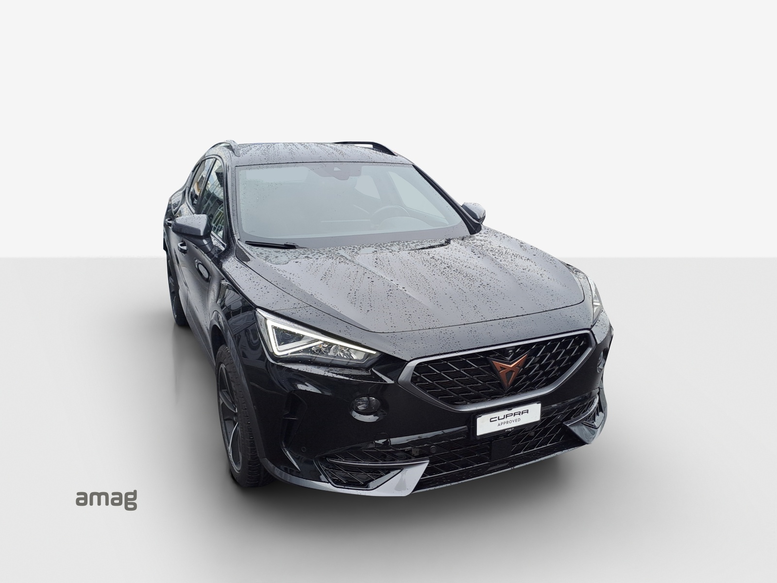 Cupra Formentor - Bild folgt... 1