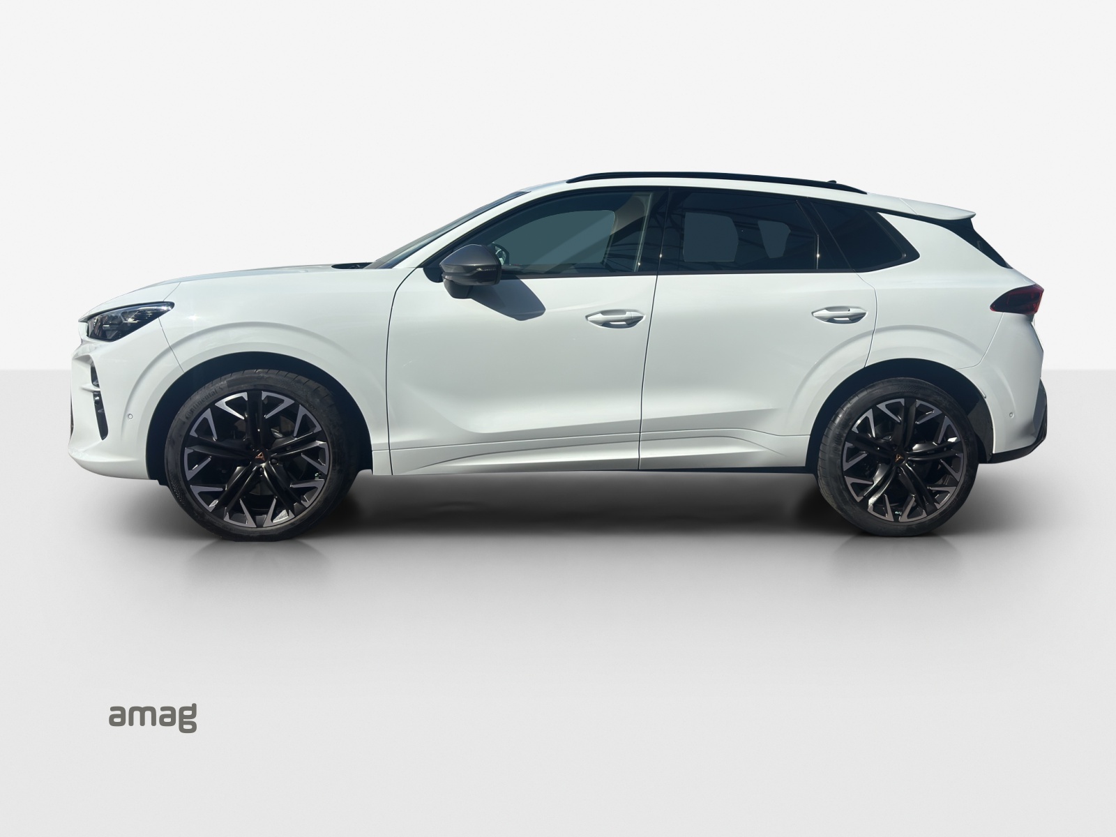 Cupra Terramar - Bild folgt... 1