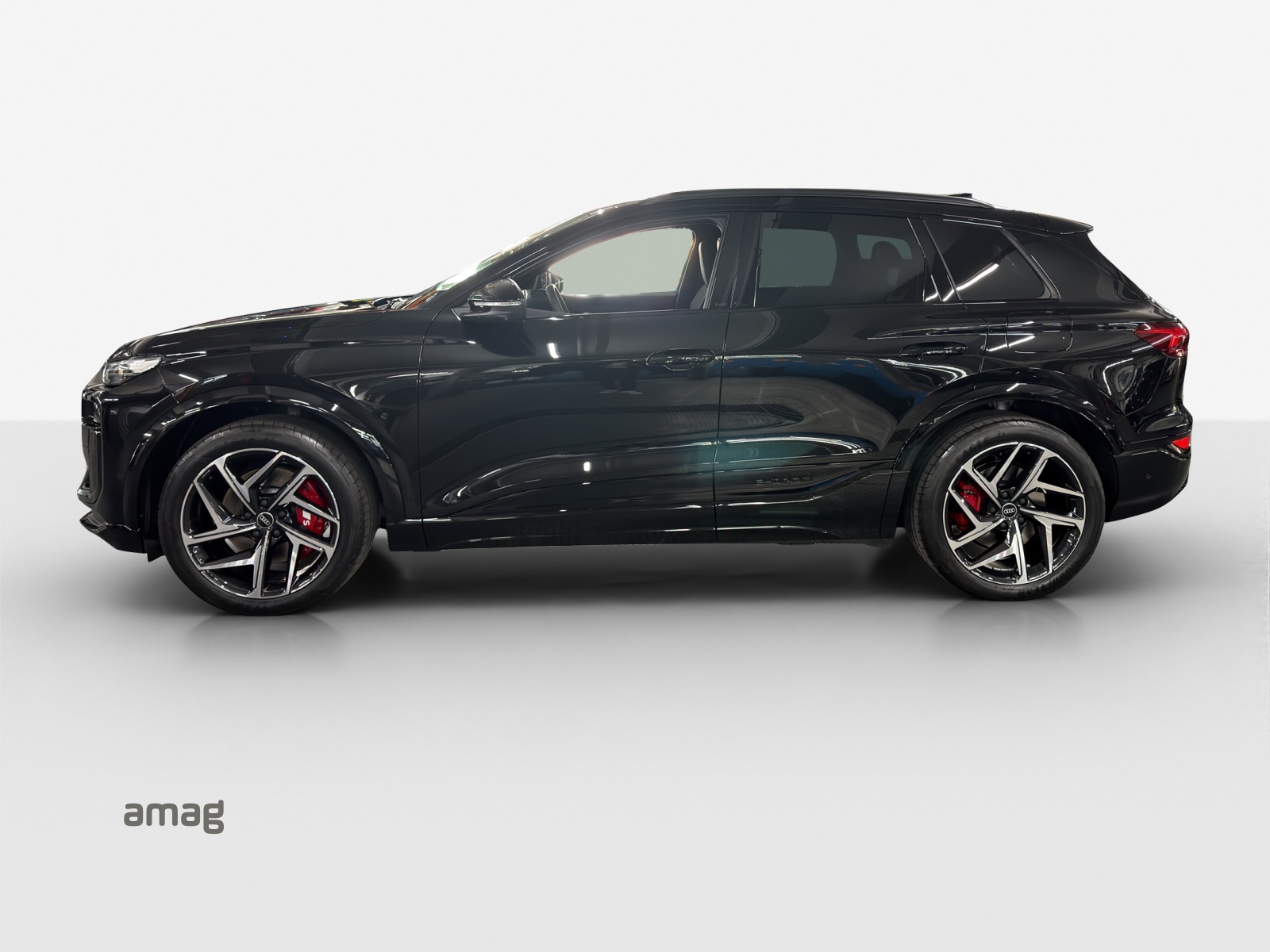 Audi SQ6 - Bild folgt... 1